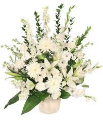 Jennifer Brown, Beloved Resident Of Arizona Motorcycle Accident, Death Obituary - Has Died